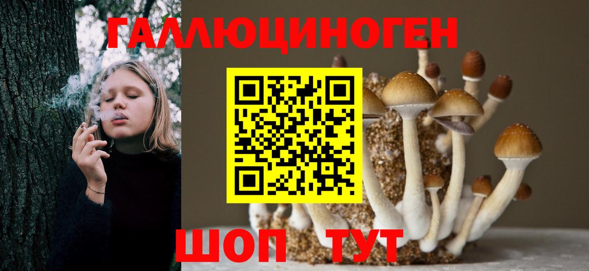 Галлюциногенные грибы GOLDEN TEACHER Новоалександровск