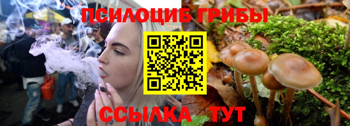 Галлюциногенные грибы мицелий  закладка  Новоалександровск  Вход с VPN 